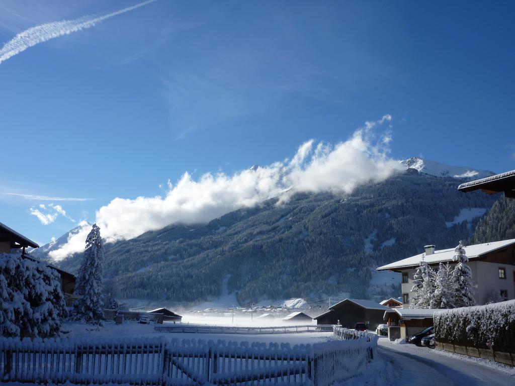 Haus Bellis Apartment Neustift im Stubaital Bagian luar foto